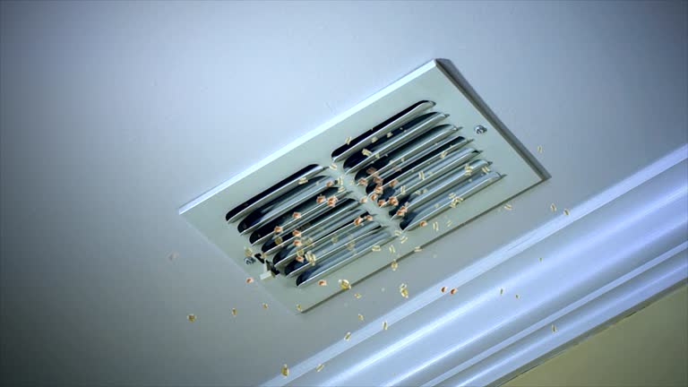 HVAC System Cleaning in Red Chute, LA