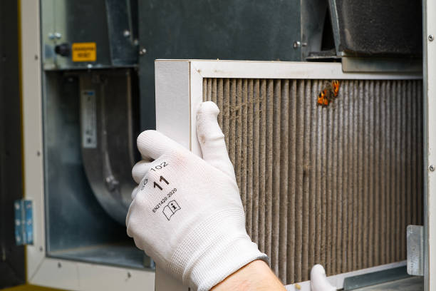 Best Local Air Duct Cleaning Services  in Red Chute, LA